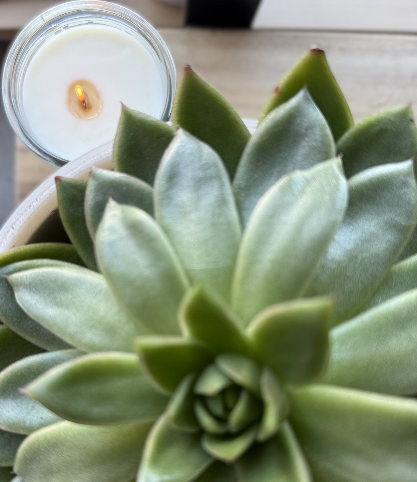 Chandelles la Binerie Gâteau et confetti - Pot recyclé